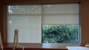 Roller Shades - Privacy and Light